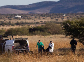 Encuentran fosa con al menos cien bolsas con restos humanos en Tlajomulco, Jalisco