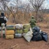 Autoridades Federales desmantelan narcolaboratorio y campamento que almacenaba más de media tonelada de drogas en Michoacán