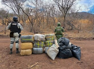 Autoridades Federales desmantelan narcolaboratorio y campamento que almacenaba más de media tonelada de drogas en Michoacán