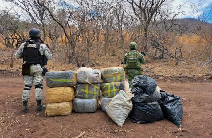 Autoridades Federales desmantelan narcolaboratorio y campamento que almacenaba más de media tonelada de drogas en Michoacán