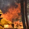 Cofom atiende y controla 4 incendios forestales en Michoacán