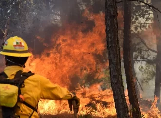 Cofom atiende y controla 4 incendios forestales en Michoacán