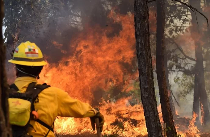 Cofom atiende y controla 4 incendios forestales en Michoacán