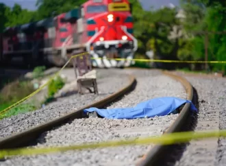 No sobrevivió a un encuentro este jueves con el ferrocarril en céntrica zona de Tepic