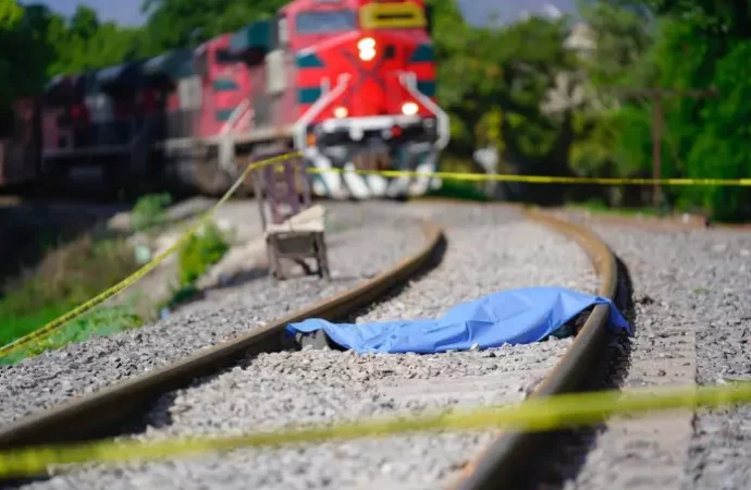 No sobrevivió a un encuentro este jueves con el ferrocarril en céntrica zona de Tepic