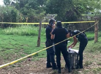 Hallán cocodrilo que paseaba con cadáver en río Ameca Jalisco