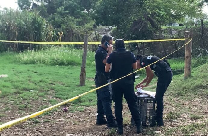 Hallán cocodrilo que paseaba con cadáver en río Ameca Jalisco