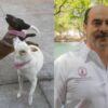 Gobernador de Michoacán sugiere al alcalde que mató a las perras Buba y Canela que pida licencia