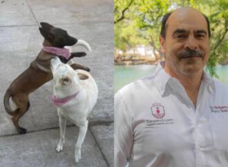 Gobernador de Michoacán sugiere al alcalde que mató a las perras Buba y Canela que pida licencia