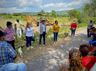 Asegura Bienestar que sembró más de 16 millones de plantas en Colima