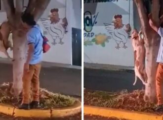 Hombre fue sorprendido ahorcando a su perro en Tarímbaro, Michoacán