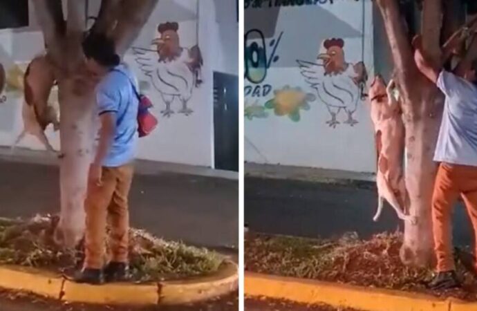 Hombre fue sorprendido ahorcando a su perro en Tarímbaro, Michoacán