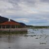 Invaden nuevamente el Lago de Chapala