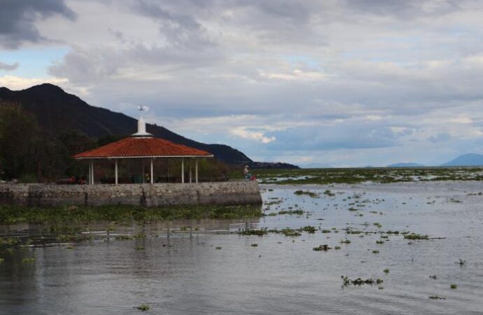 Invaden nuevamente el Lago de Chapala