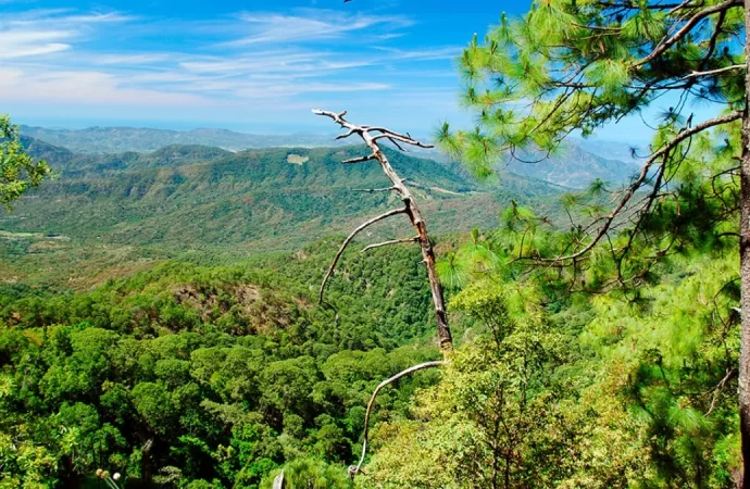 Imades tiene desconocimiento del  impacto del cambio climático en Colima