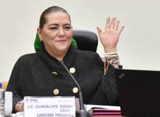 Tribunal Electoral avala a Taddei para nombrar a Secretaría Ejecutiva y órganos internos del INE