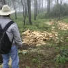 Gobierno de Michoacán puso en marcha la vigilancia satelital para proteger bosques