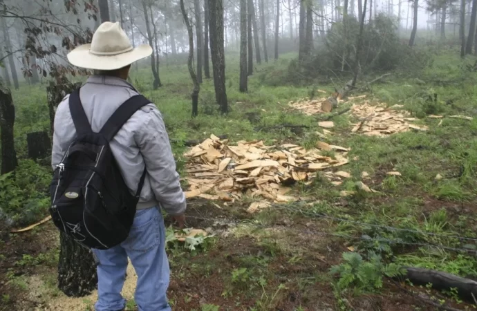 Gobierno de Michoacán puso en marcha la vigilancia satelital para proteger bosques