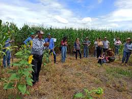 Productos del campo de Jalisco llegarán a ferias internacionales
